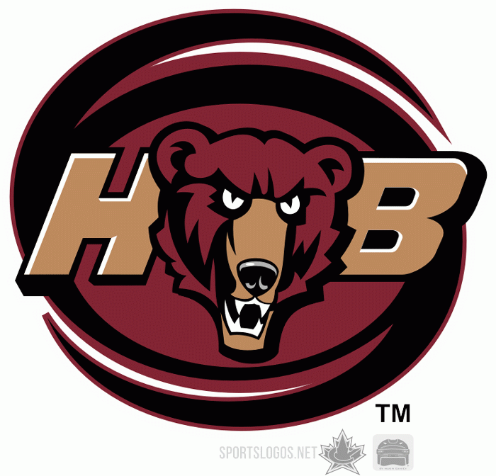 Hershey Bears 2003 04-2011 12 Secondary Logo iron on heat transfer